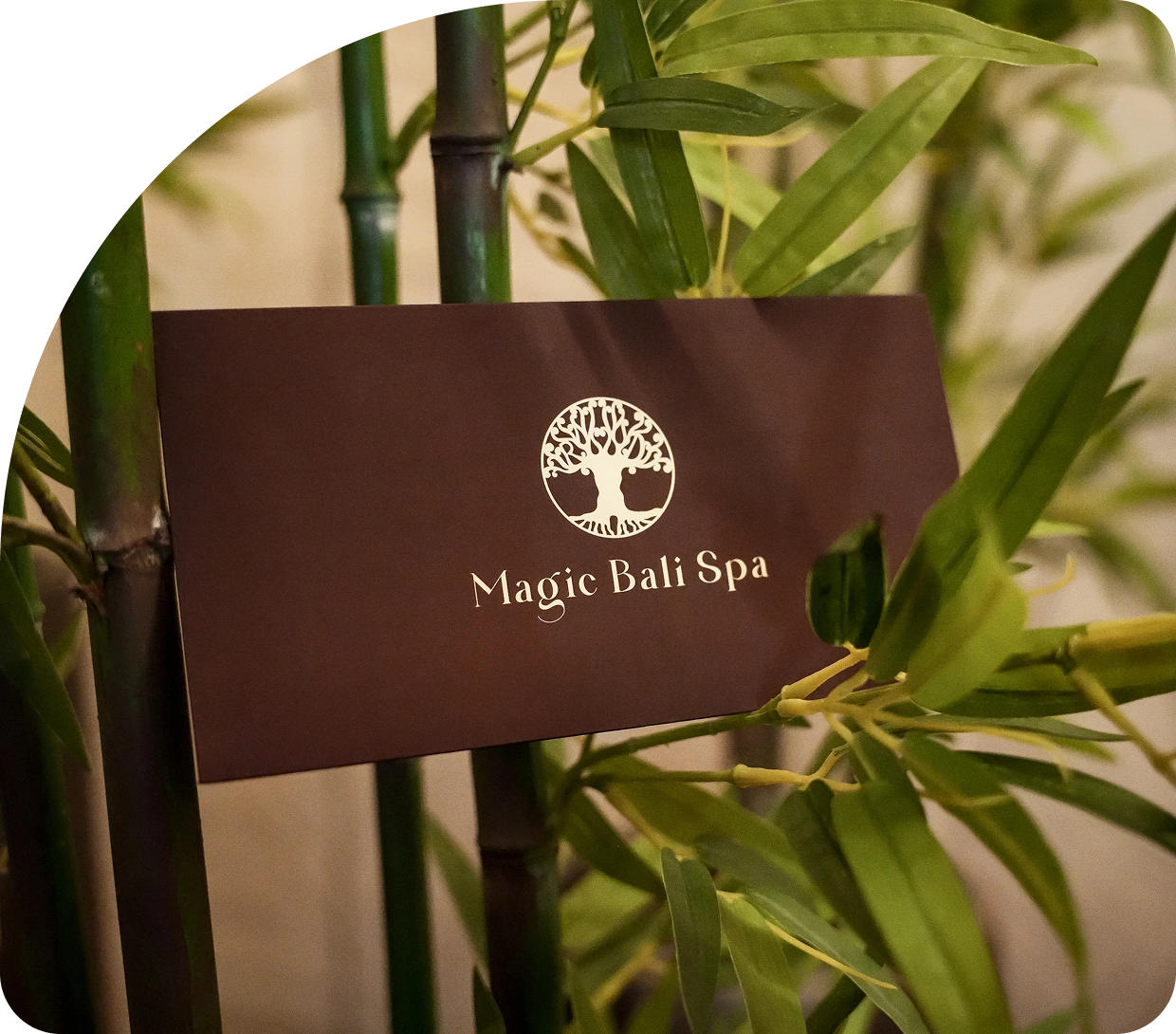 A Magic Bali Spa voucher envelope among bamboo leaves